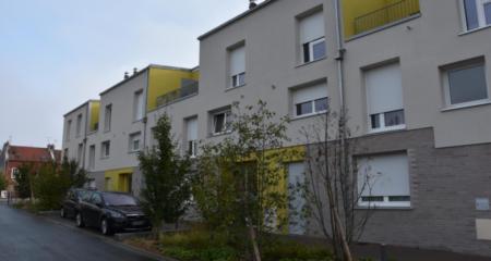 LA COTONNIERE